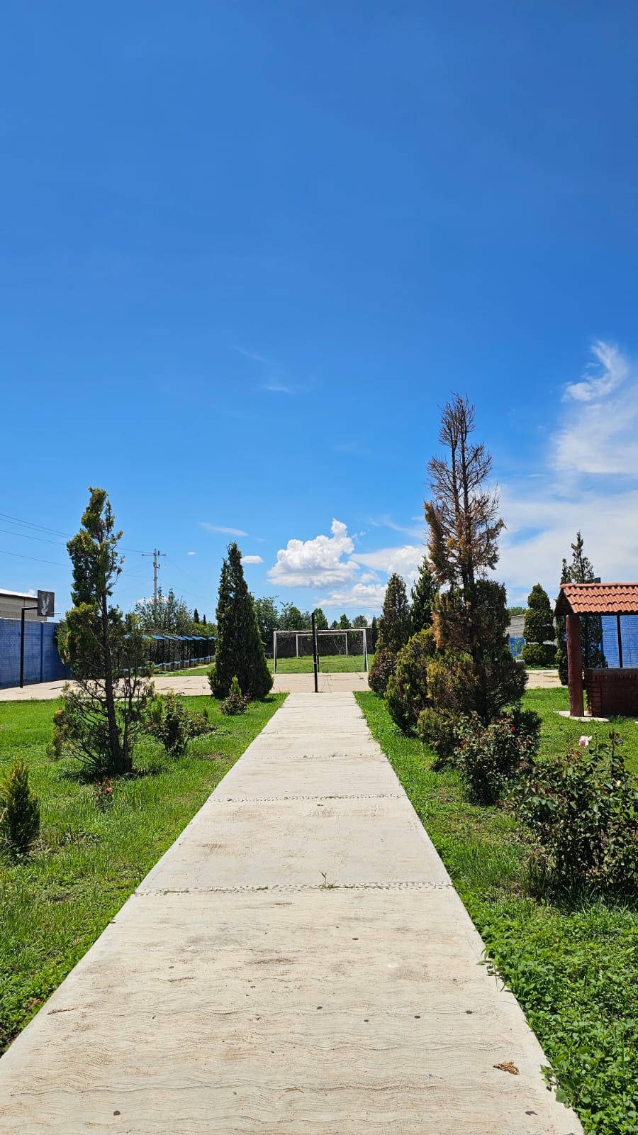 Sendero y áreas verdes del campus